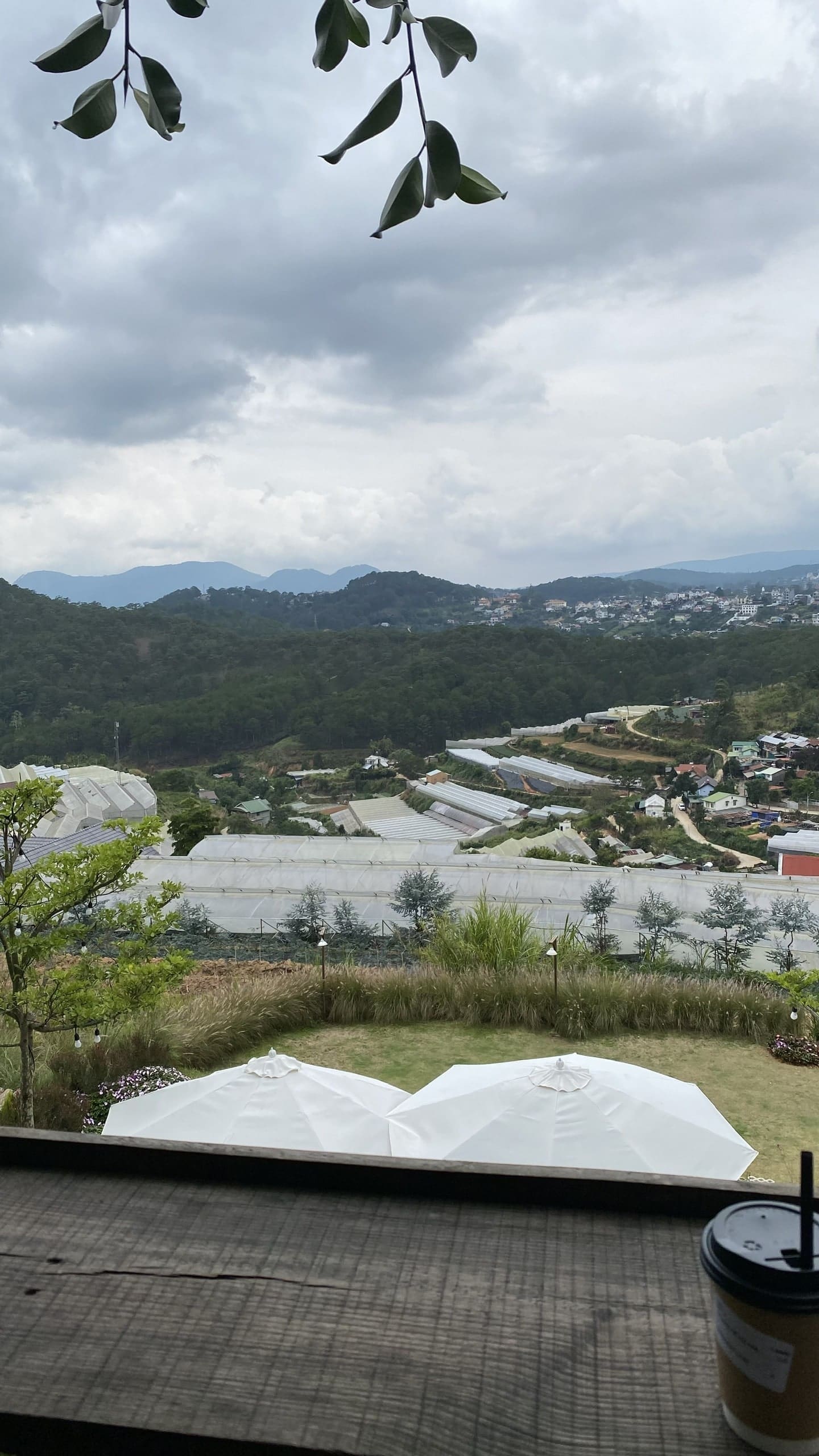 Đà Lạt Đà Lạt
