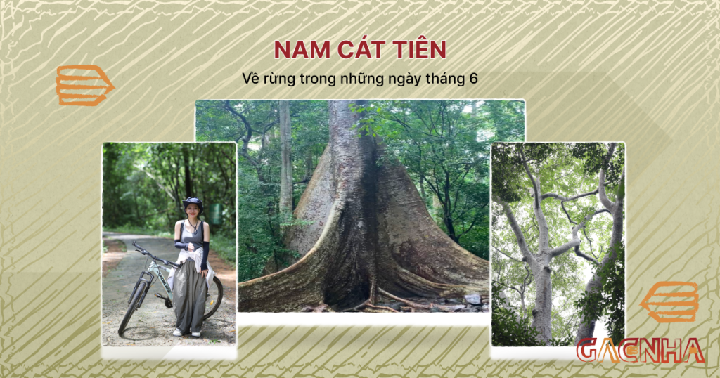 Nam Cát Tiên