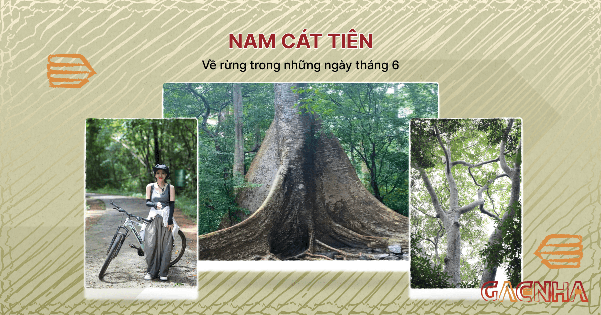 Nam Cát Tiên