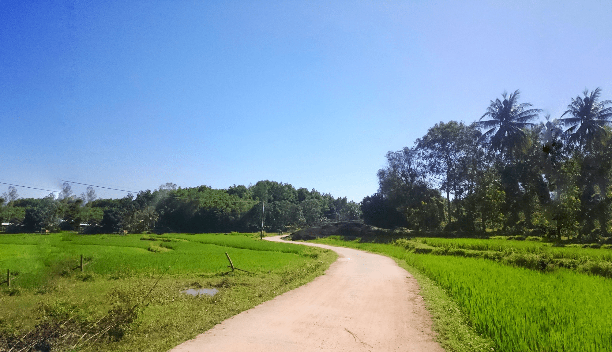 Tiên Phước Quảng Nam