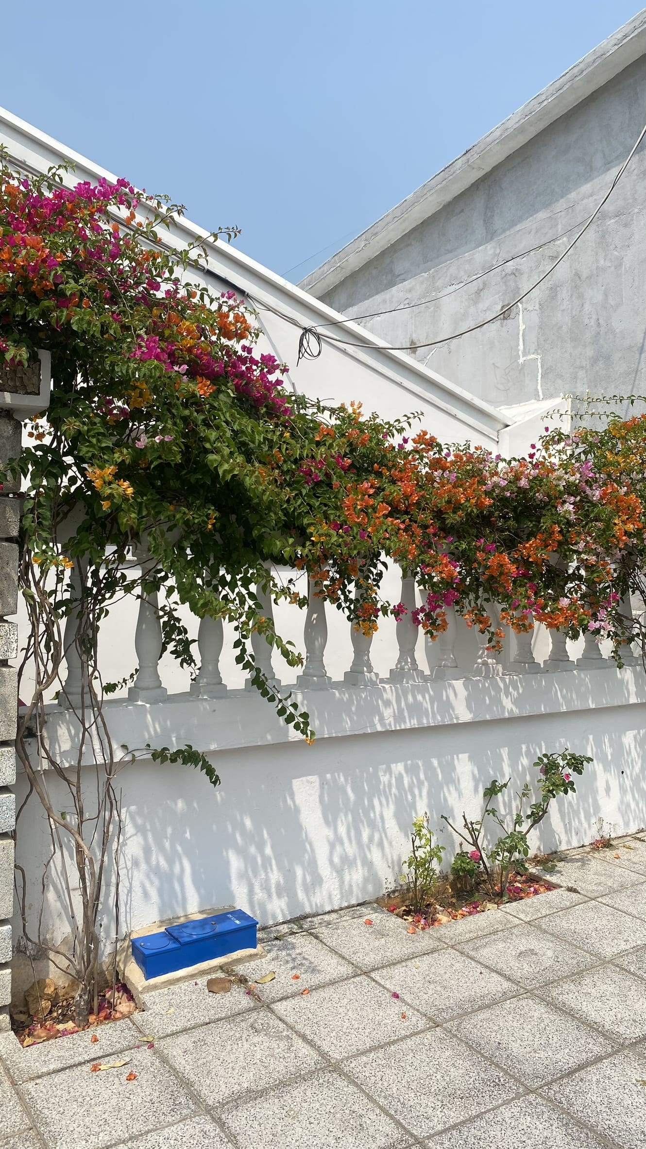 Vũng Tàu Vũng Tàu