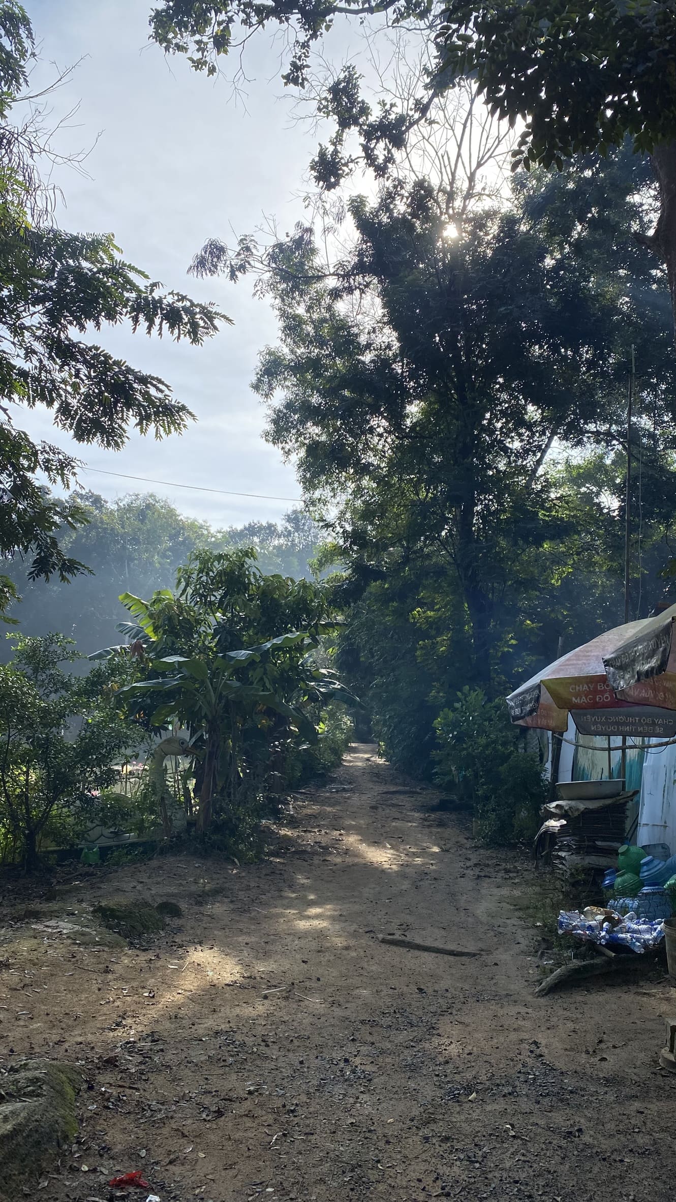 kinh nghiệm trekking núi Dinh