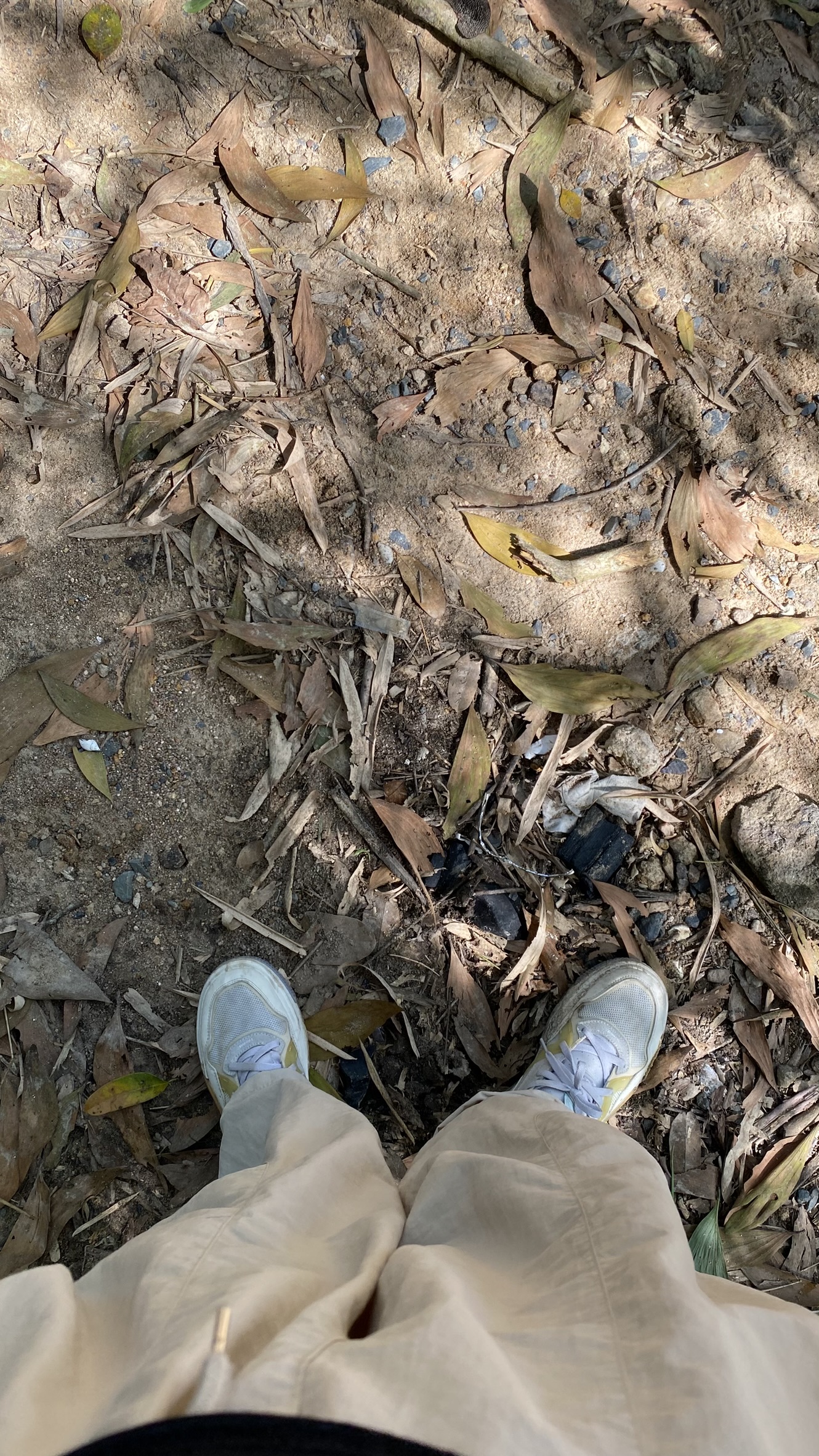 kinh nghiệm trekking núi Dinh