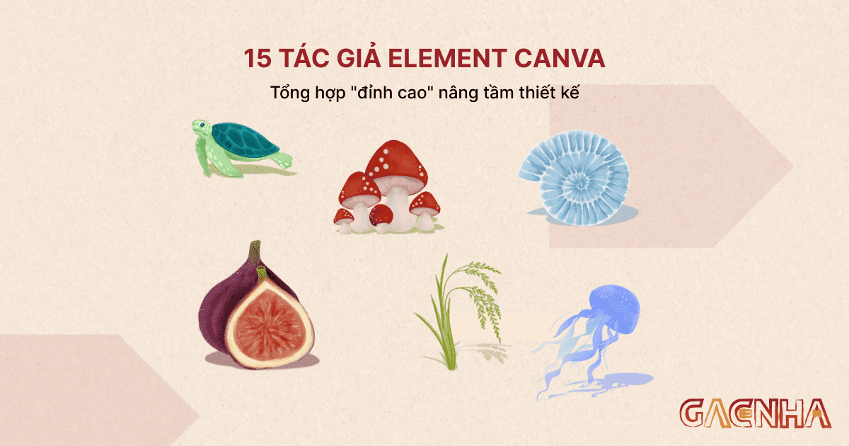 tác giả element Canva