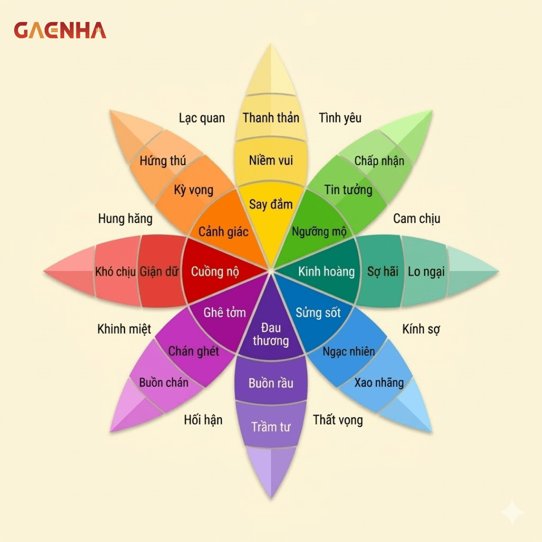 bánh xe cảm xúc bánh xe cảm xúc